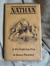 Nathan A Novel By D Brian Plummer.
