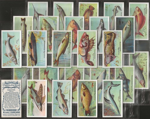 Churchman full set fishes of - churchman-full,