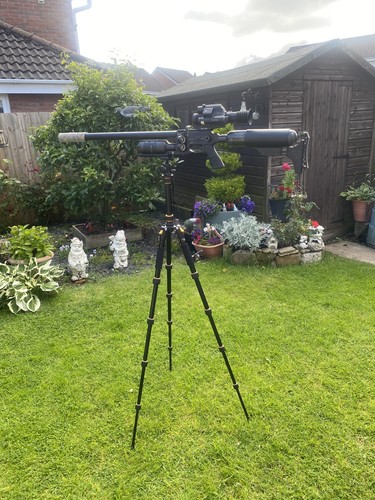 Shooting tripod with gun - gun, mount