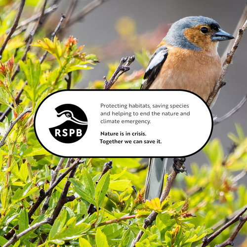 Rspb high energy - rspb, balls