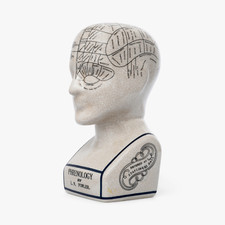 Phrenology Head 9" L.N Fowler