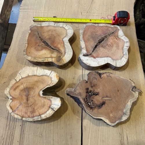 Large yew cookies wood turning - cookies,