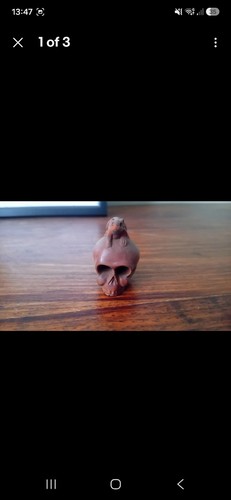 Japanese netsuke - japanese, (skull)