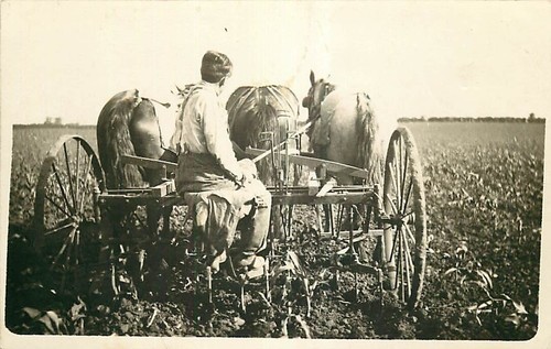 Real photo postcard - real, man
