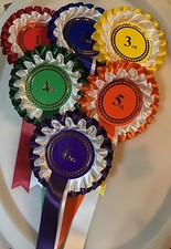 1st-6th 2 tier rosettes Large