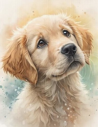 Golden retriever cross - retriever,