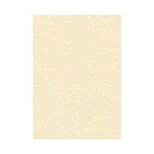 Decadry Parchment A4 Letterhead Paper 95gsm Champagne (Pack of 100) PCL1601