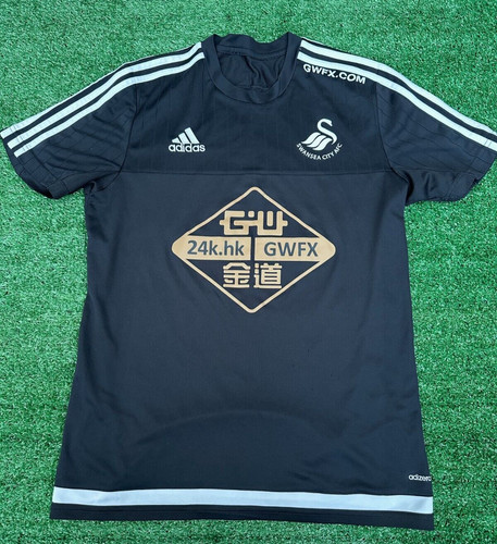 Swansea city 2015 pre - swansea,