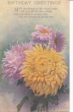 PC13947 Birthday Greetings