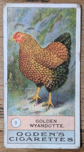 1904 ogden cigarette card - ogden's,