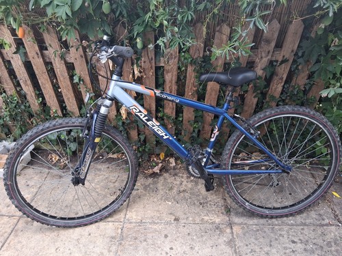 Raleigh stonefly mountain bike - raleigh,