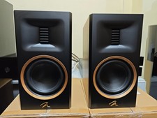 Martin Logan Motion B100