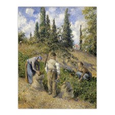 Pontoise harvest oil painting - harvest,