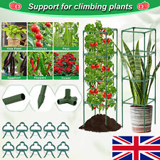 Square Tomato Cages for Garden