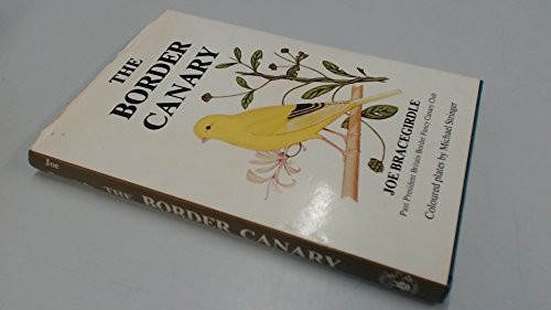 Border canary bracegirdle - -,