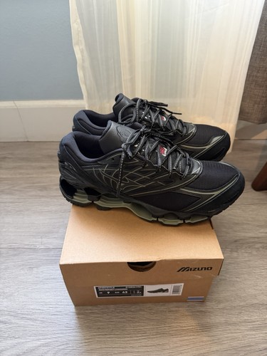 Mizuno wave prophecy - mizuno, la