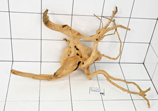 Premium Aquarium Natural Wood