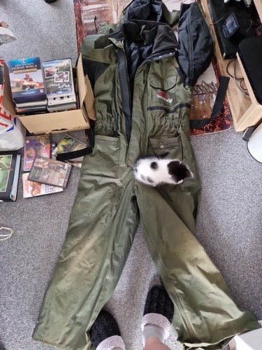 Sundridge fishing suit - fishing, xl