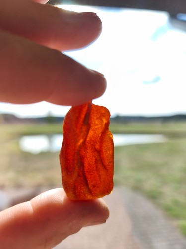 Natural baltic amber - natural, raw