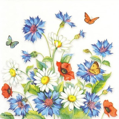 Single paper napkins for - 4x,
