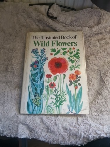 The illustrated book wild - the,