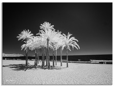 Converted 850nm Infrared IR