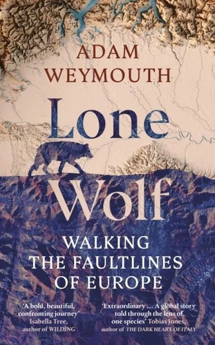 Lone wolf walking the - wolf:,