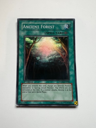 Ancient forest - ancient,
