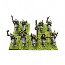 Goblin Wolf Riders Command Pre