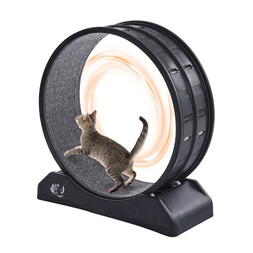 Uimoso cat exercise - uimoso, wheel