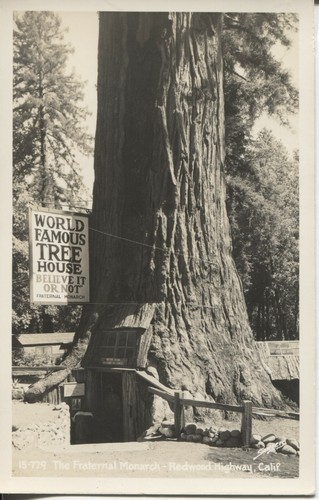 Real photo postcard - postcard, world