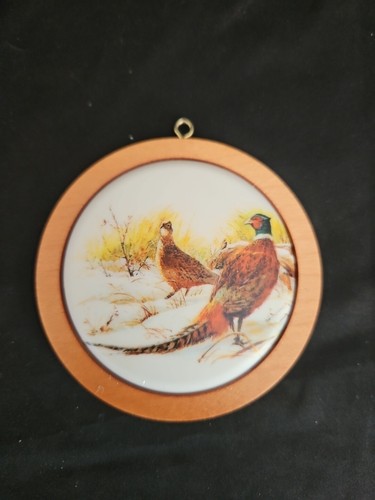 Ring necked pheasant - "ring-necked, pheasant"
