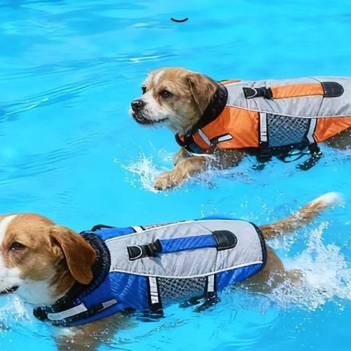 Dog life jacket pet - dog,