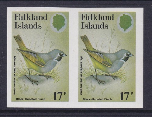 Falkland islands 1982 birds - islands,
