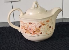 Teapot And Milk Jug Poole Pottery Summer Glory Vintage Mint Condition
