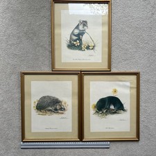 Set of 3  Vintage Joel Kirk Signed Framed with glass Wildlife Prints 1980s
