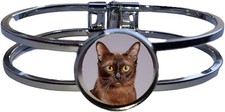 Burmese Cat Pet High Quality