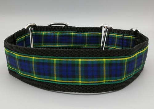 Gordon tartan martingale - tartan,