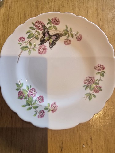 Tuscan fine bone english - tuscan,
