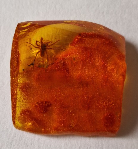 Baltic cognac amber - baltic,
