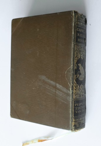 Antique cassells natural - cassells,