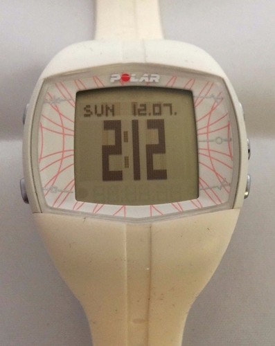 Polar ft40 white - polar,