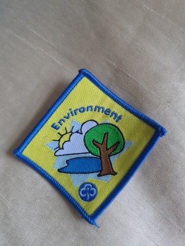 Brownie interest badge - brownie,