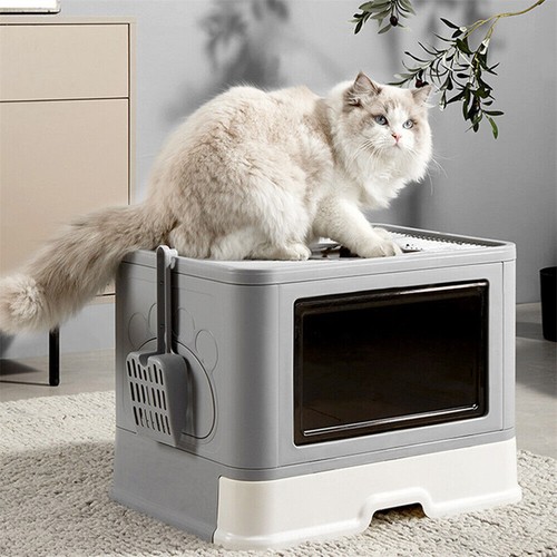 Self cleaning hooded cat - hooded,