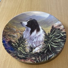 Danbury Mint The Border Collie
