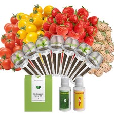 Fruit Seed Pod Kit for