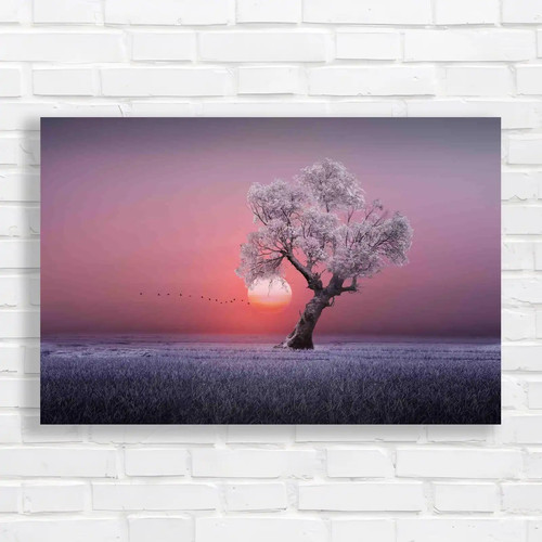 Stunning sunset with leafy - stunning,