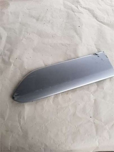 Trim strip door - door,