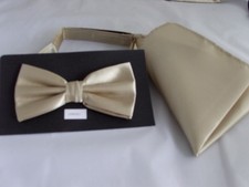 Any Mens Polyester Pre-tied