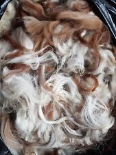 Alpaca Fleece Wool Fibre Bird